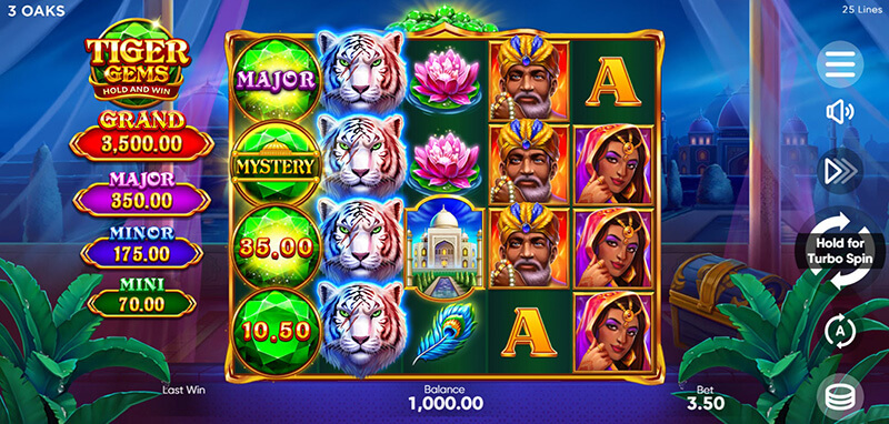 Guide to Play 3 Oaks Tiger Gems Slot