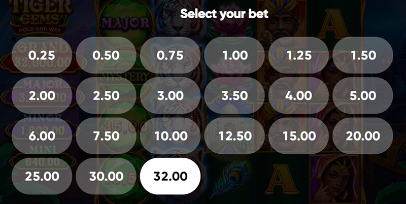 3 Oaks Tiger Gems Slot - Betting Option