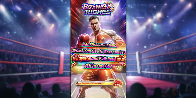 FC Boxing Riches