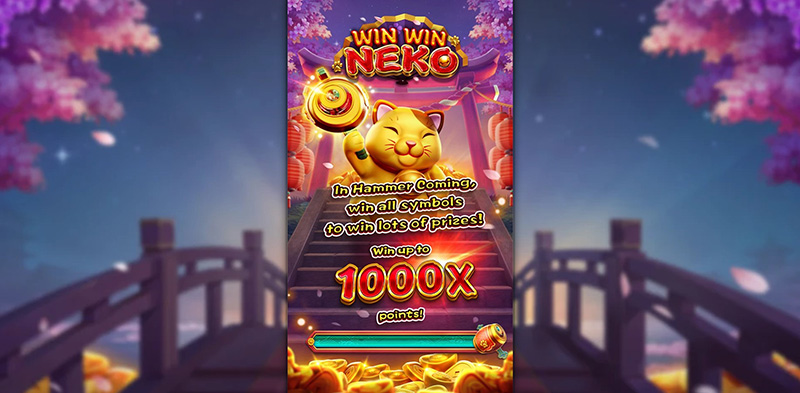 FC Win Win Neko