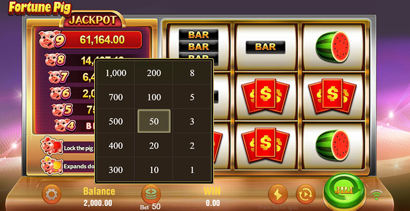 JILI Fortune Pig Slot - Betting Option